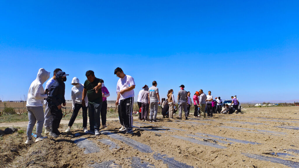 走进田园 播种希望|918博天堂物流春种团建活动