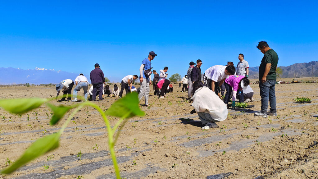 走进田园 播种希望|918博天堂物流春种团建活动